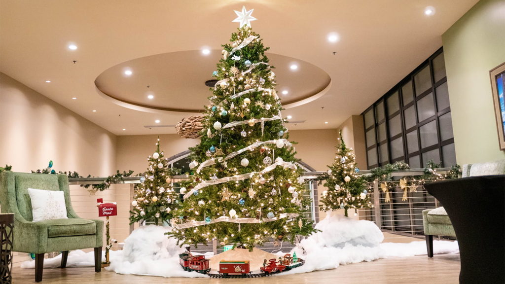 A decorated and lit Christmas tree.