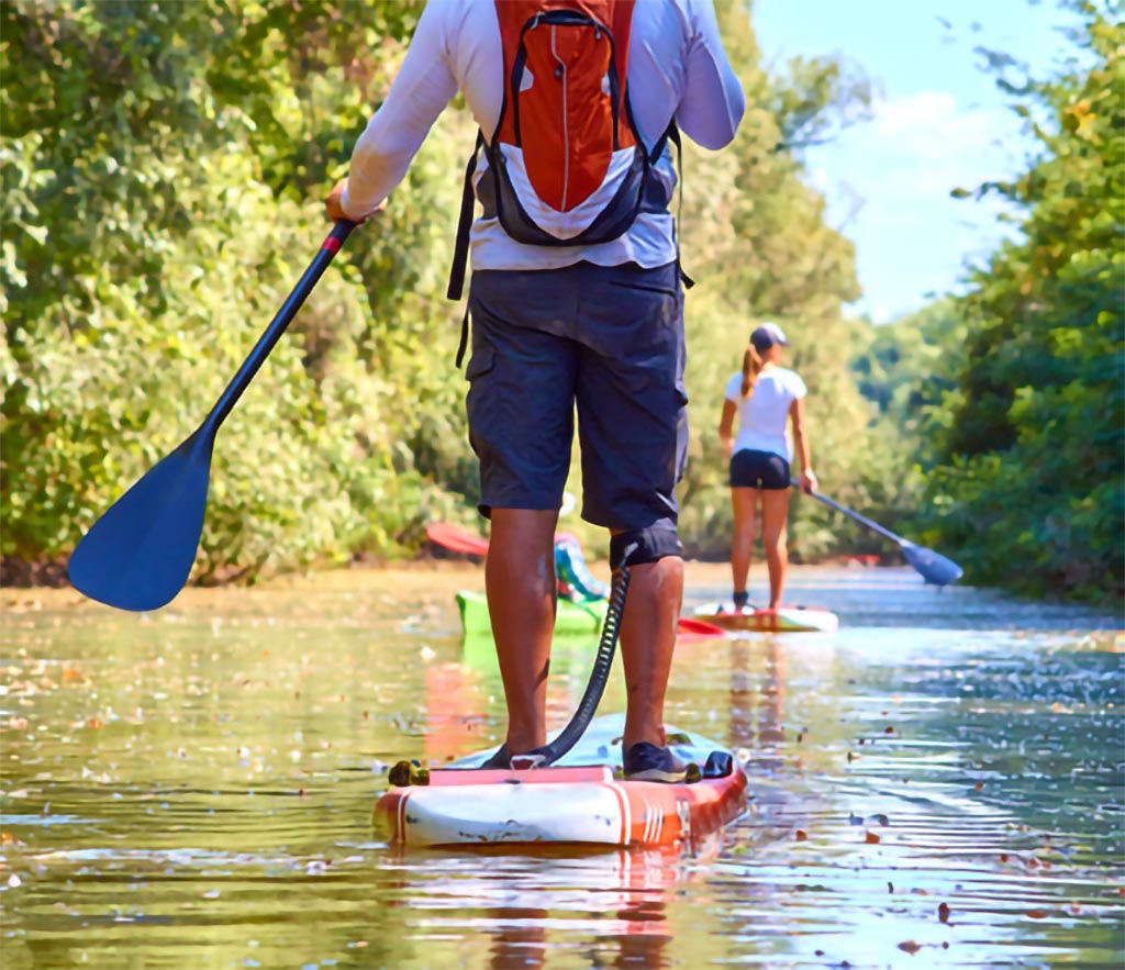 Two people paddleboarding on a river surrounded by trees.