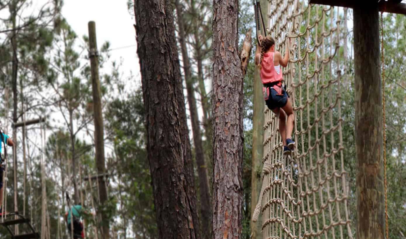 Local Area 1 Girl climbing rope wall at the Orlando Tree Trek Adventure Park