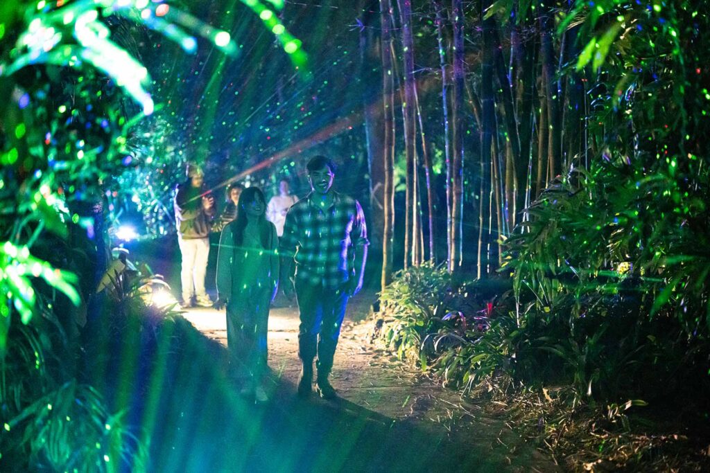 Couple marchant dans les jardins Leu à Orlando décorés de lumières de Noël