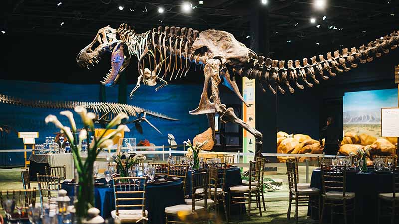 Wedding reception set up in a dinosaur exhibit at the Orlando Science Center